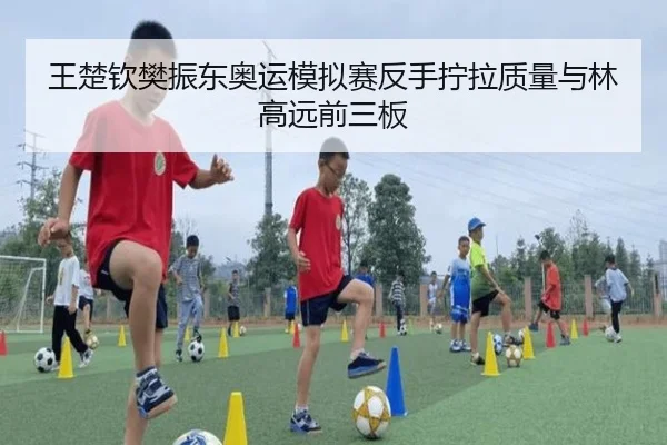 王楚钦樊振东奥运模拟赛反手拧拉质量与林高远前三板